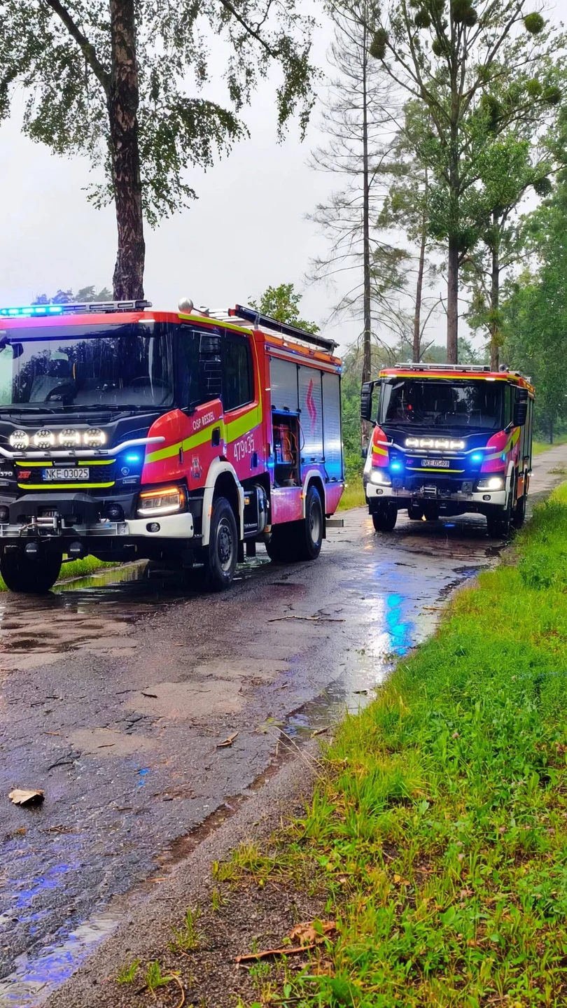 Strażacy usuwali powalone drzewa w kilku miejscowościach gminy — zdjęcie 12